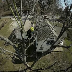 Meet your Posher, Peter